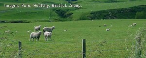 sheepnatura
