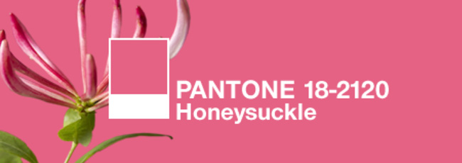 Soooo…what do YOU think?  Does it make you laugh, squint, cringe?  It’s always exciting to see Pantone’s color selections and consider how the emotion behind them tell us a little...
